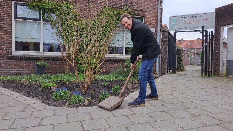 Wethouder Michel Klijmij-van der Laan wipt een grijze, vierkante straattegel met een schop. Achter hem een nieuw-aangelegd perkje met bloemen, struiken en een boompje.