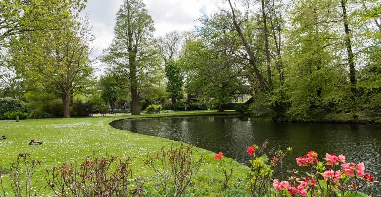 Op de afbeelding is een park te zien, met bomen in de achtergrond, een meer, en een grasveld met bloemen op de voorgrond.