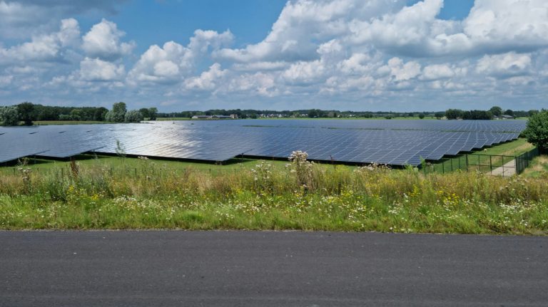 Op de foto staan zonnepanelen in een weiland naast een snelweg.