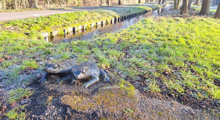 Op de foto staan de bronzen kikkers van kunstenaar Gerard Logman; dit zijn 2 van de nog resterende 3 kikkers langs de Bloemendaalseweg.