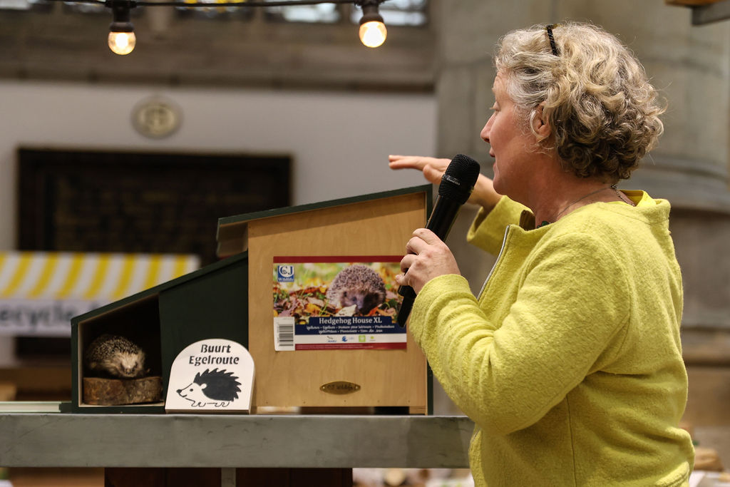 Judith Sargentini vertelt over de egelroute. Op de foto staat een klein egelbeeldje en een egelhuisje.