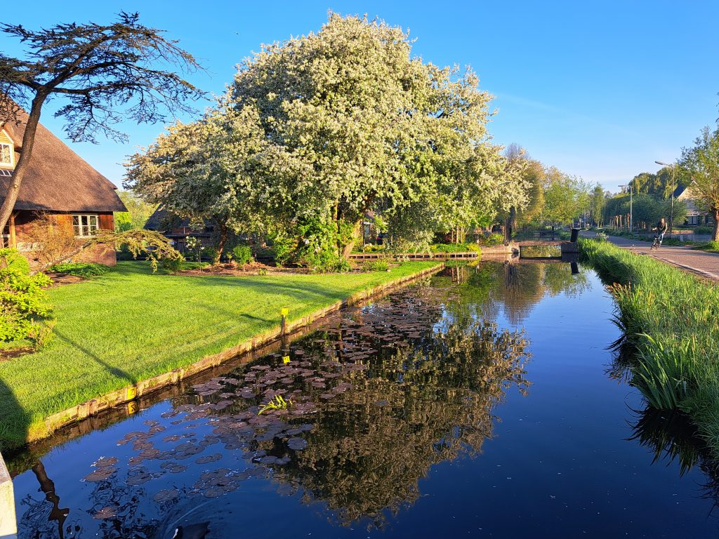 Uitzicht op het water en de voortuin van een rietgedekte woning aan de Bloemendaalseweg.