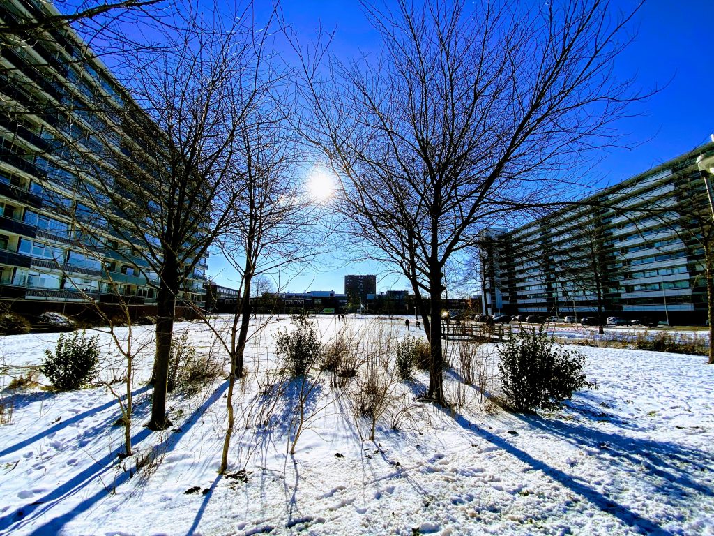 De flats aan het Bleulandpad op een zonnige dag. De grond is bedekt met sneeuw.