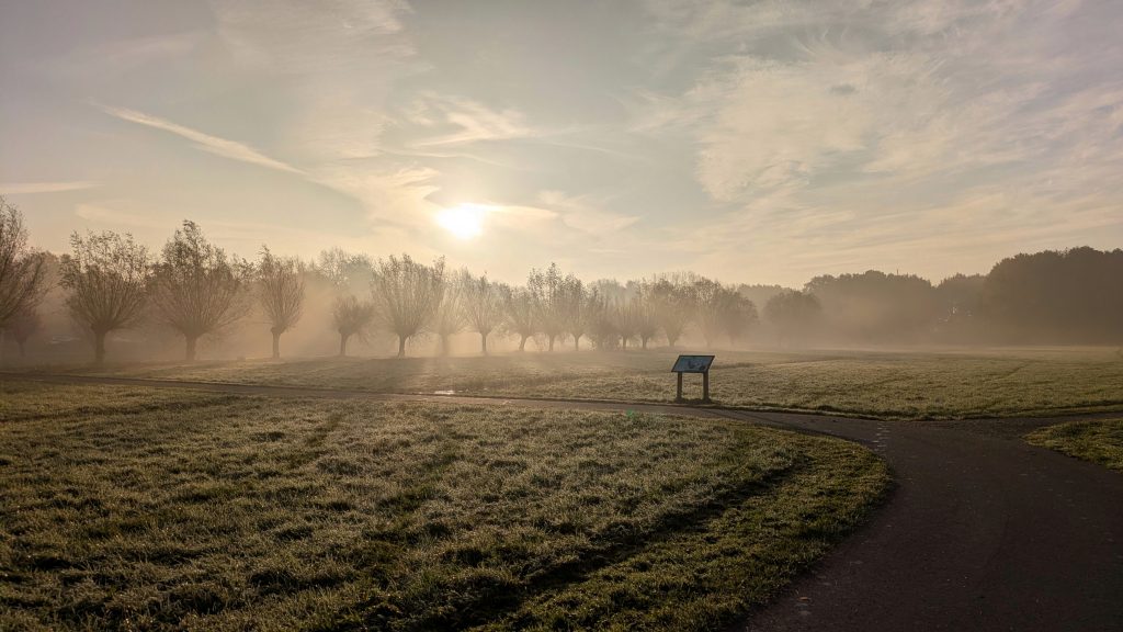 Grasland van de Goudse Hout, met bomen op de achtergrond. Het is zonnig en nevelig.