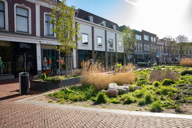 Afbeelding van een groene stadstuin in de binnenstad