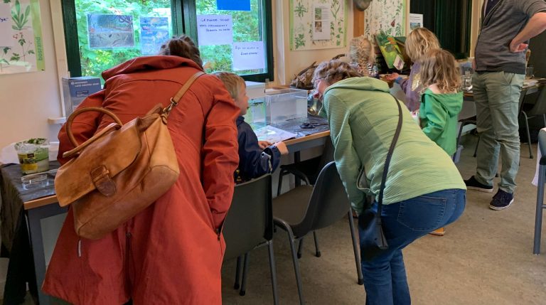 Een foto van mensen die in het infocentrum van het Heempad naar kleine dieren en door een microscoop kijken.