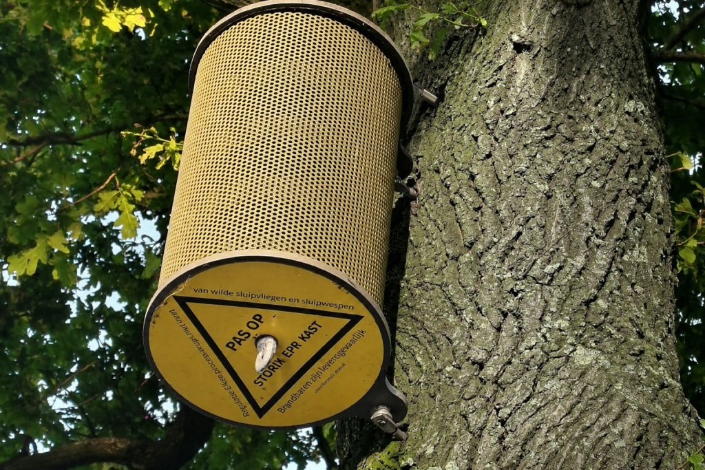 Een Vlinderfilterhotel opgehangen aan een boomstam. Het hotel ziet eruit als een ronde, gele bus.