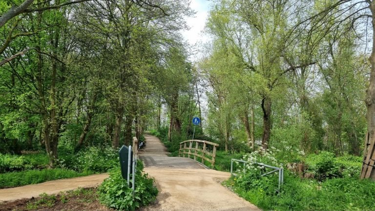 Groen wandelpad in de wijk Plaswijck.