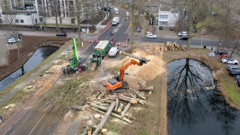 Kap van populieren in Gouda. Een graafmachine tilt een boomstam op. Langs de afgesloten weg liggen gekapte stammen en takken.